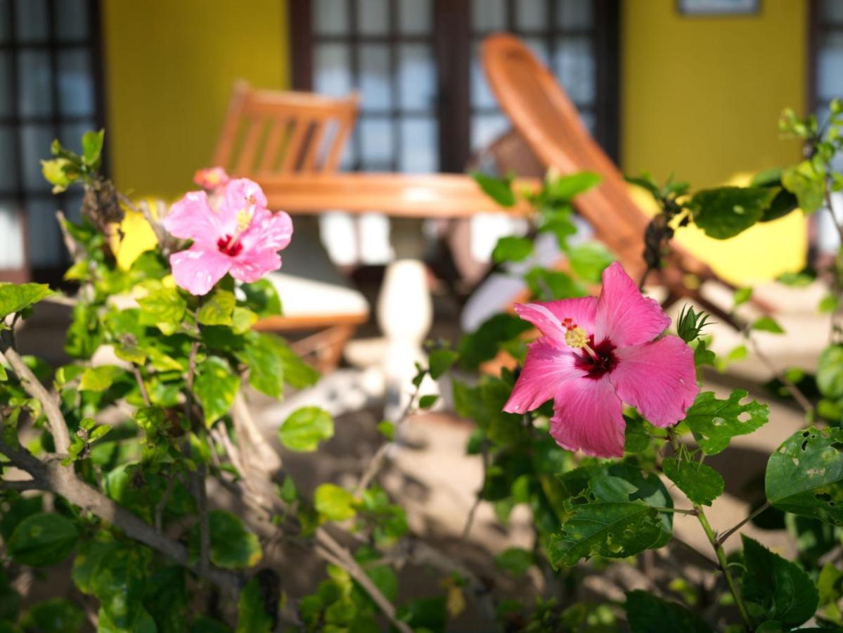 Las Flores Beachside Hotel Catmon Eksteriør bilde